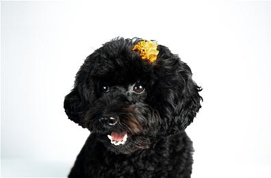 传闻：微软已经买下一个重要第三方游戏的主机独占